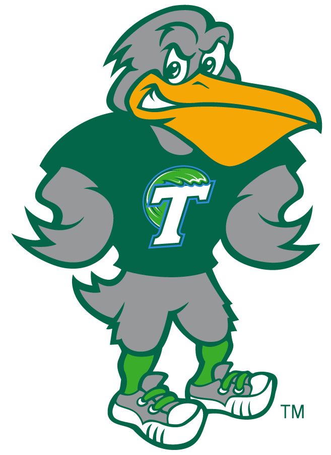 Tulane Green Wave 2017-Pres Mascot Logo diy DTF decal sticker